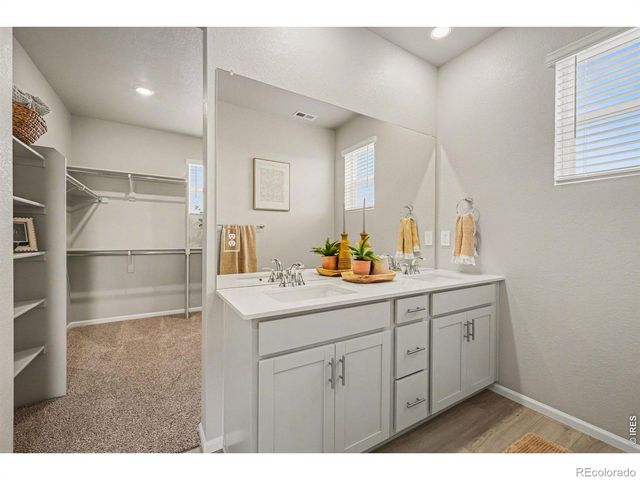 1604 Colorado River Drive, Windsor, CO 80550