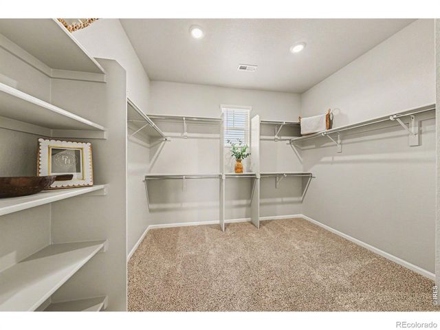 1604 Colorado River Drive, Windsor, CO 80550