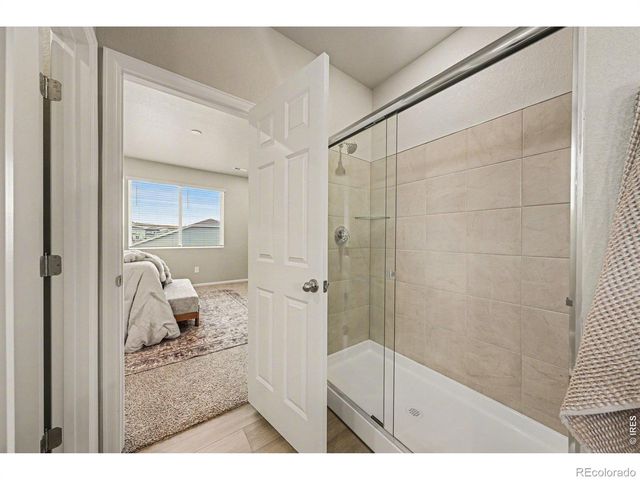 1604 Colorado River Drive, Windsor, CO 80550