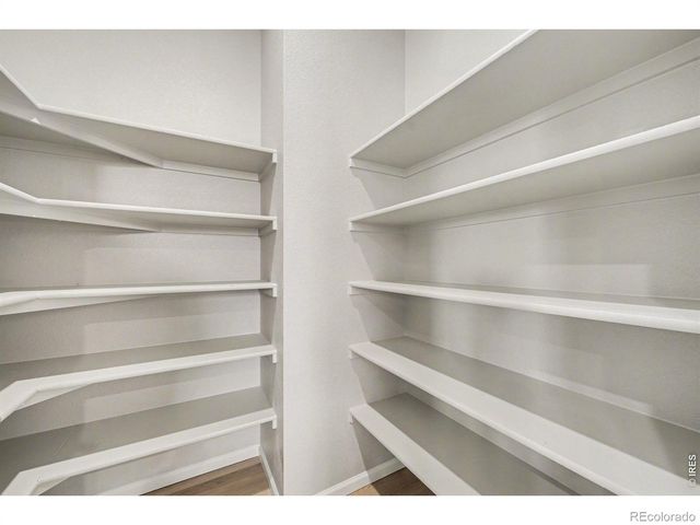 1604 Colorado River Drive, Windsor, CO 80550