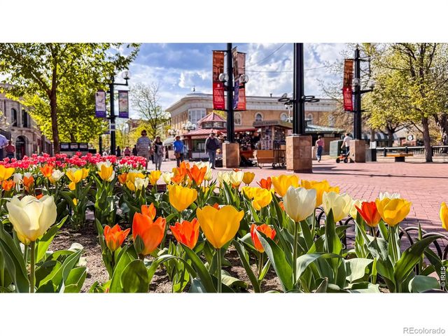 2125 11th Street, Boulder, CO 80302