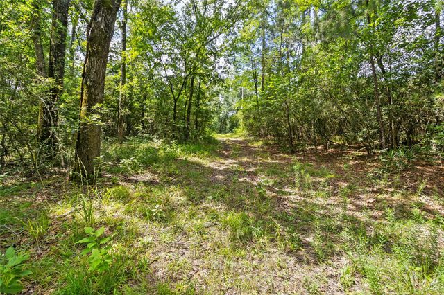 38 Darrell White Road, Huntsville, TX 77340