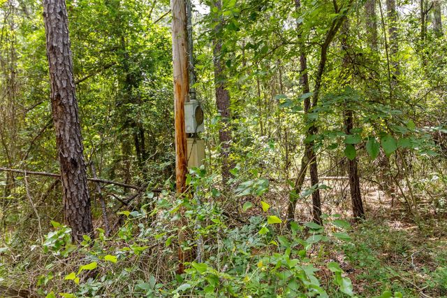 38 Darrell White Road, Huntsville, TX 77340