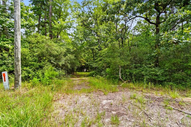 38 Darrell White Road, Huntsville, TX 77340