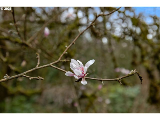 6100 Sw THOMAS St, Portland, OR 97221