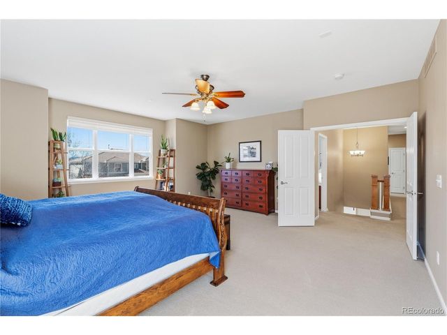 3200 Springbriar Dr, Castle Rock, CO 80109