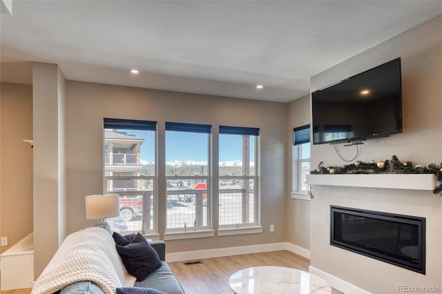 1404 Silver Vault Street, Leadville, CO 80461
