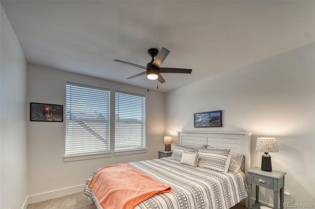 1404 Silver Vault Street, Leadville, CO 80461