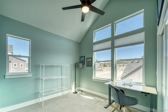 1404 Silver Vault Street, Leadville, CO 80461