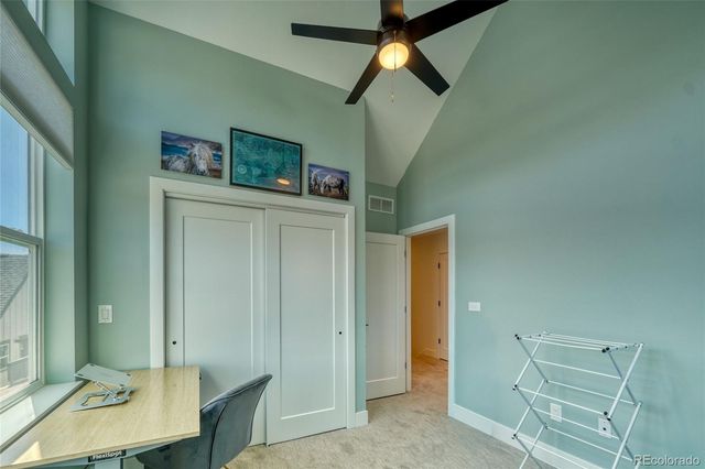 1404 Silver Vault Street, Leadville, CO 80461