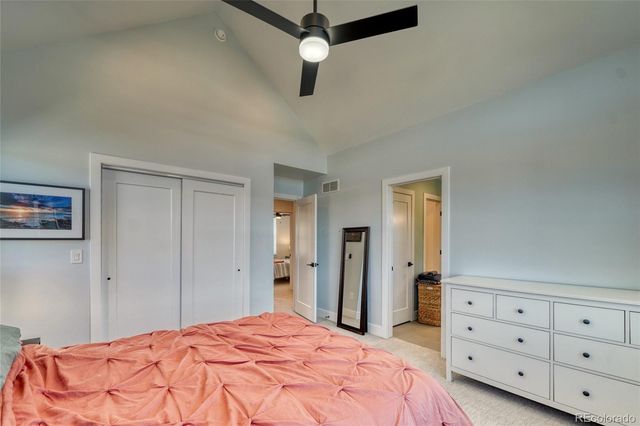 1404 Silver Vault Street, Leadville, CO 80461