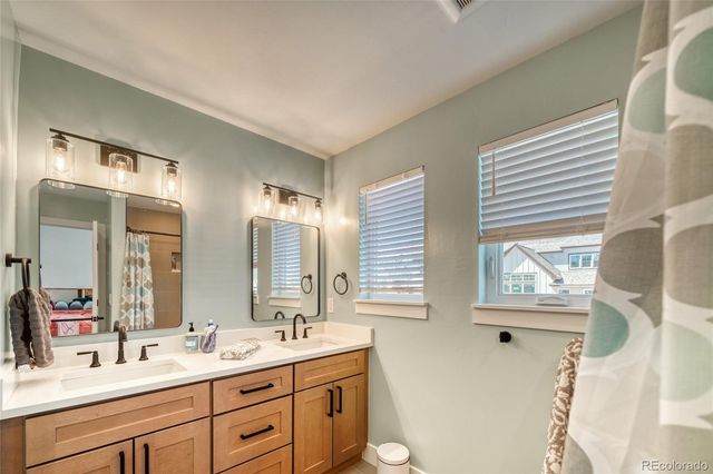 1404 Silver Vault Street, Leadville, CO 80461
