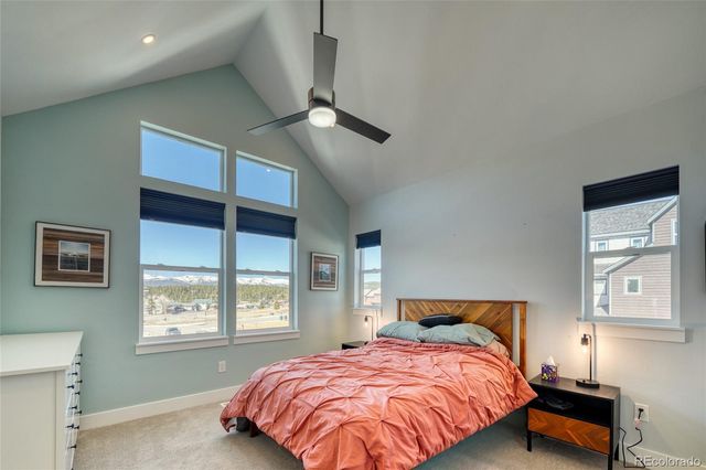 1404 Silver Vault Street, Leadville, CO 80461