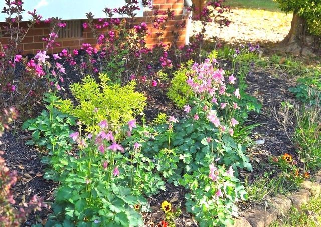 441 Shore Drive, Suwanee, GA 30024