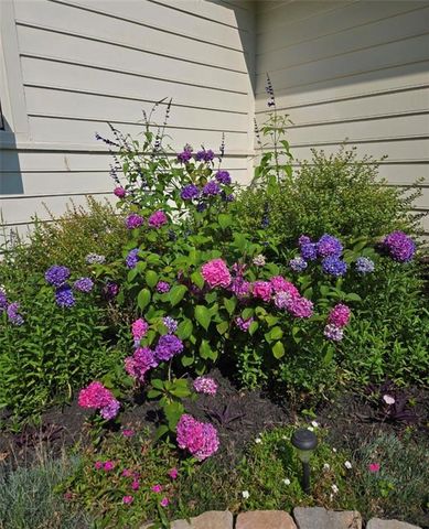 441 Shore Drive, Suwanee, GA 30024