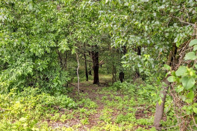 1157 Majors Cemetery Rd, Lynchburg, TN 37352