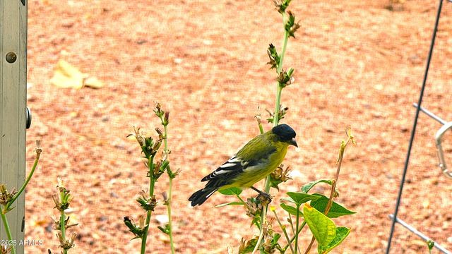 102 N 9Th Street, Cottonwood, AZ 86326