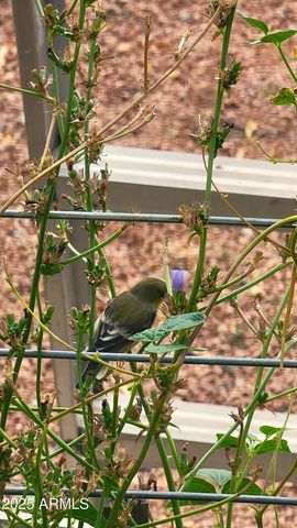 102 N 9Th Street, Cottonwood, AZ 86326