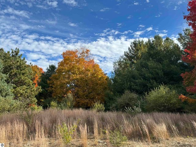 4.2 Acres January Drive, Traverse City, MI 49684