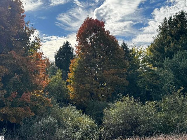 4.2 Acres January Drive, Traverse City, MI 49684