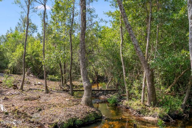 20144 NW Whitewater Grade Road, Clarksville, FL 32430