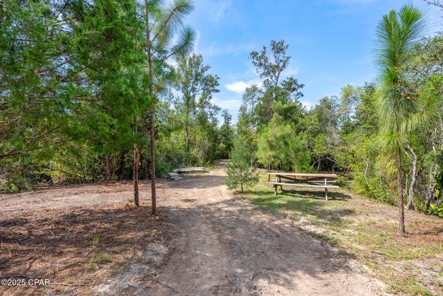 20144 NW Whitewater Grade Road, Clarksville, FL 32430