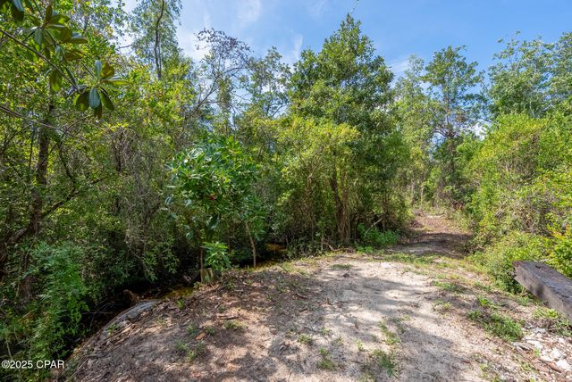 20144 NW Whitewater Grade Road, Clarksville, FL 32430