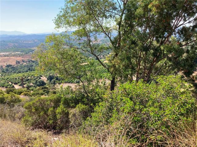 37 El Calamar, Temecula, CA 92590