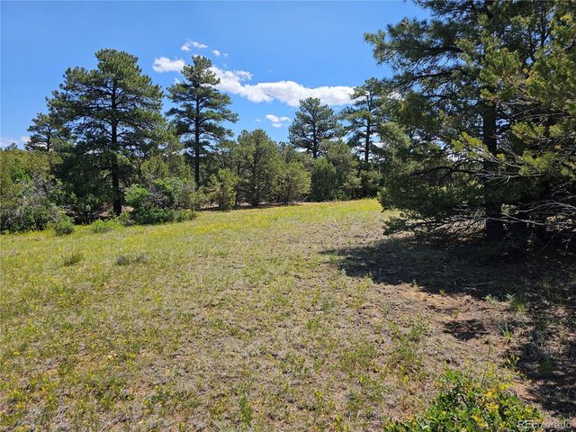 2490 County Road 1A, Cotopaxi, CO 81223