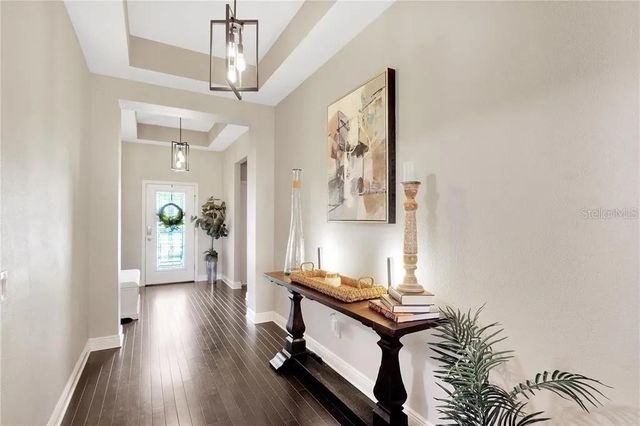 1607 FEATHER GRASS LOOP, Lutz, FL 33558