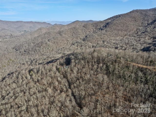 171 Sharons Bluff, Franklin, NC 28734