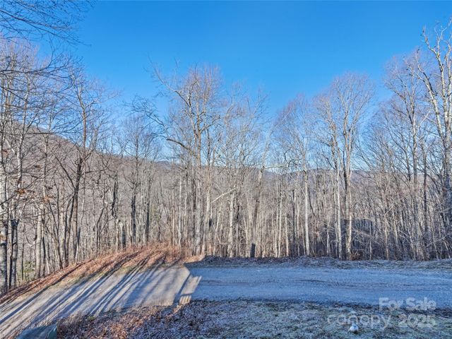 171 Sharons Bluff, Franklin, NC 28734
