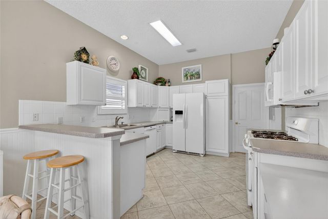 1428 CARRILLO STREET, The Villages, FL 32162