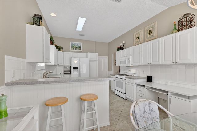 1428 CARRILLO STREET, The Villages, FL 32162