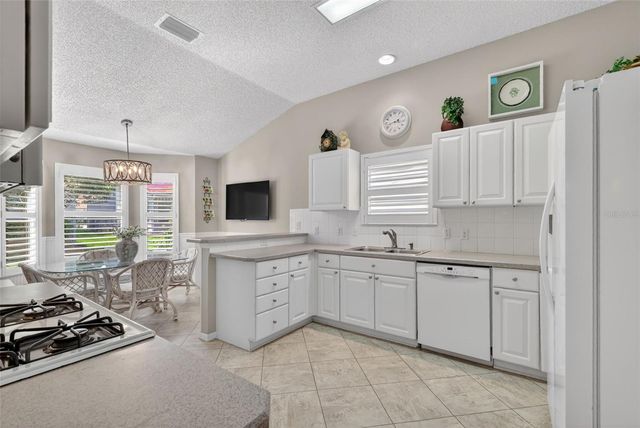 1428 CARRILLO STREET, The Villages, FL 32162