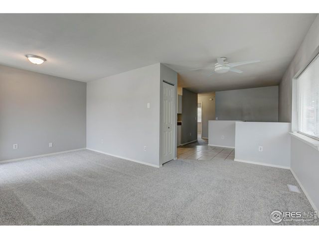 725 Columbine Dr, Windsor, CO 80550