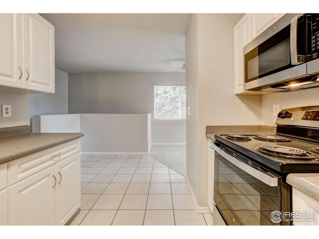 725 Columbine Dr, Windsor, CO 80550