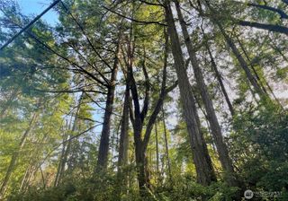 80 Cougar Hills Lane, Montesano, WA 98563
