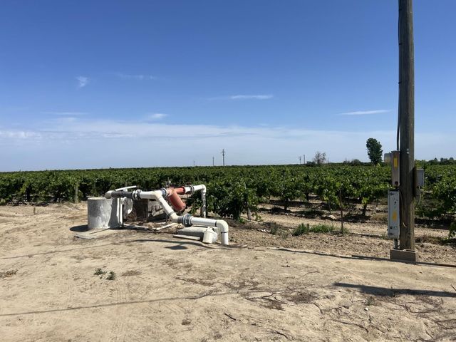 0 27.53 Acs., Selma, CA 93662