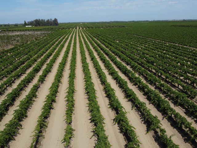 0 27.53 Acs., Selma, CA 93662