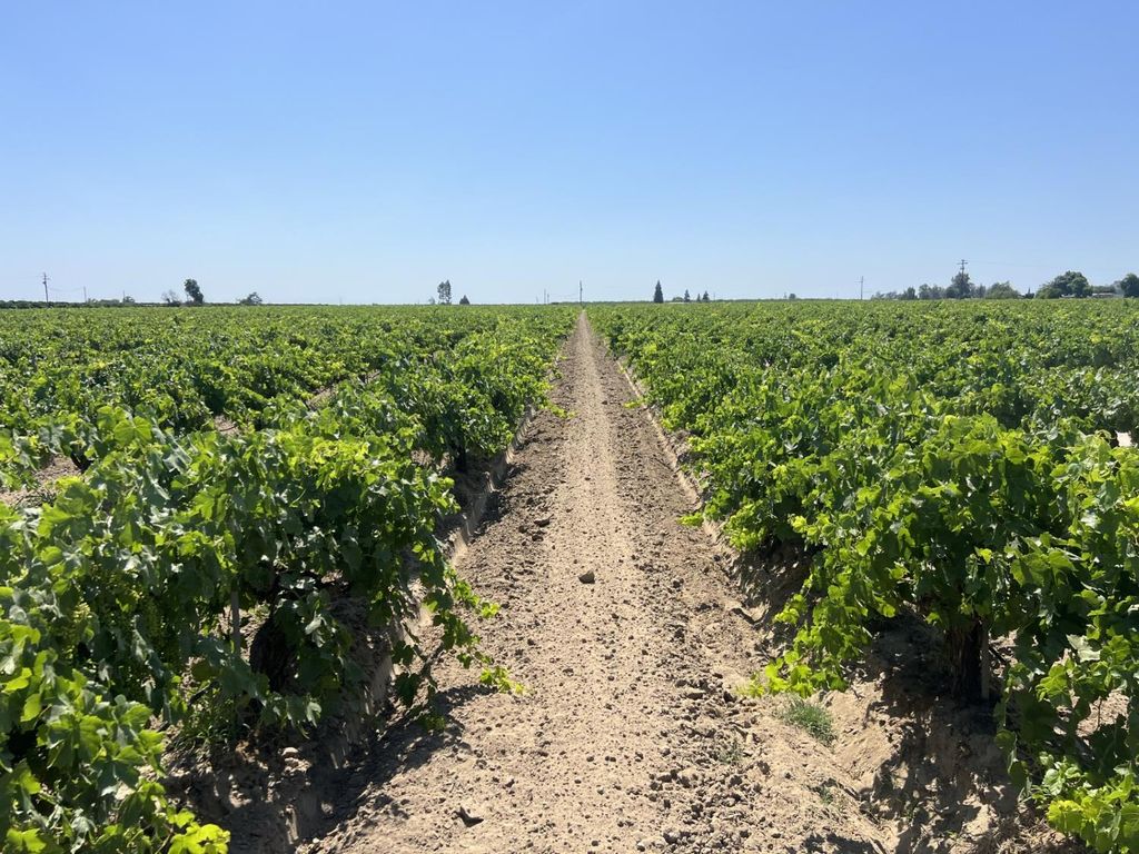 0 27.53 Acs., Selma, CA 93662