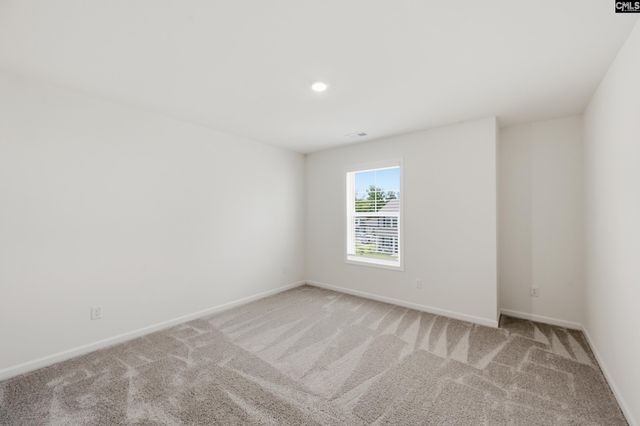 550 Griffon Drive, Chapin, SC 29036