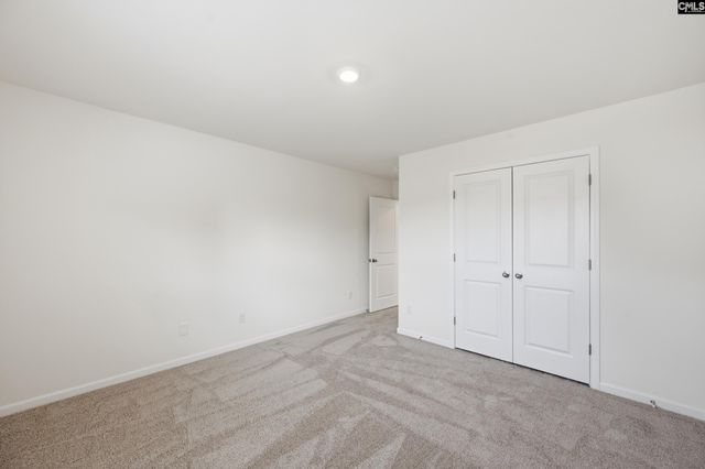 550 Griffon Drive, Chapin, SC 29036