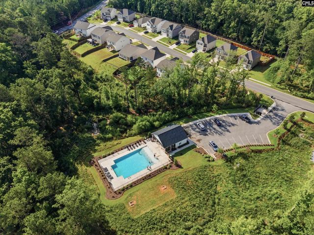550 Griffon Drive, Chapin, SC 29036
