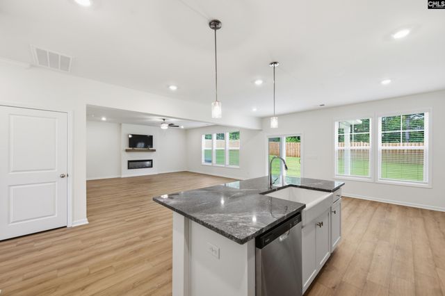 550 Griffon Drive, Chapin, SC 29036