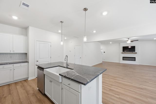 550 Griffon Drive, Chapin, SC 29036