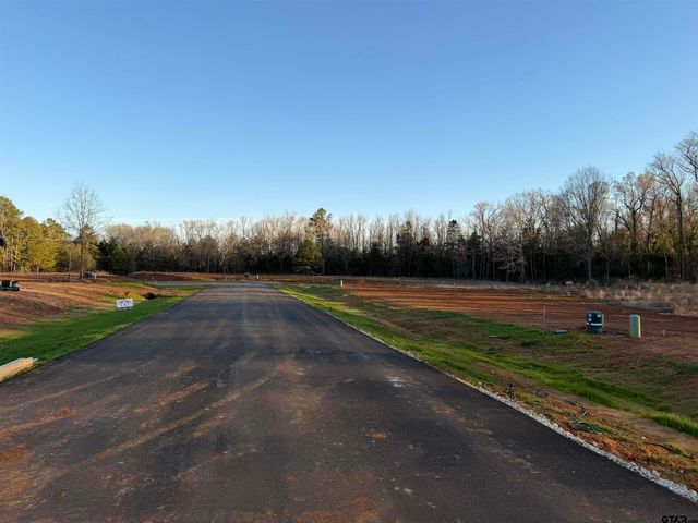 14009 Hidden Brook Ln, Flint, TX 75762