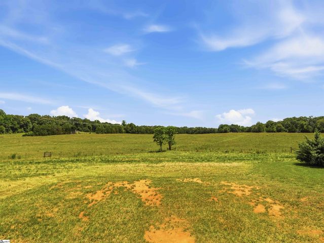 267 Christmastree Lane, Woodruff, SC 29388