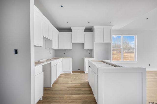 248 Crepe Myrtle Drive, Bullard, TX 75757