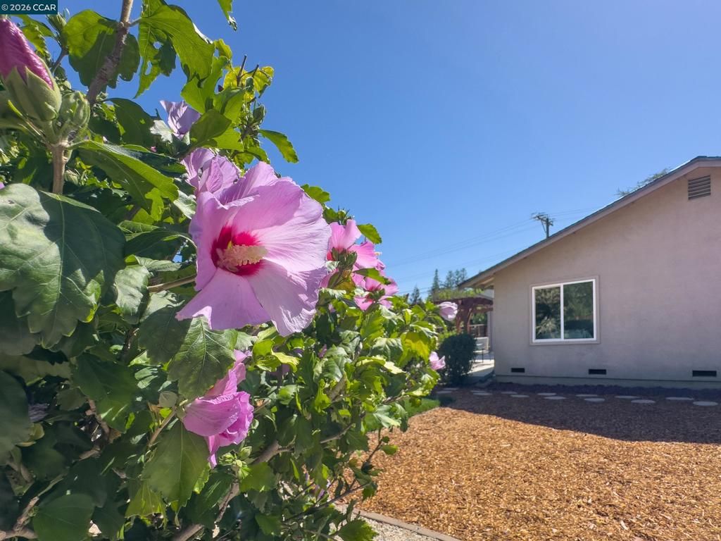 Image 43 of property listing at 1759 Elm Rd, Concord, CA 94519